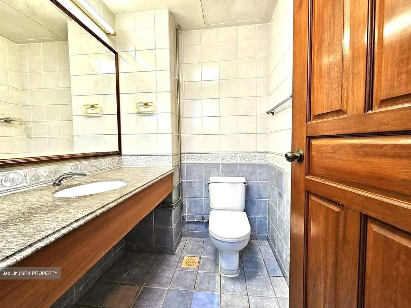 Gold Palm Mansion (D15), Apartment #570889301
